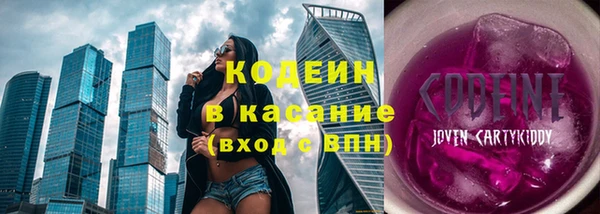 хмурый Абинск